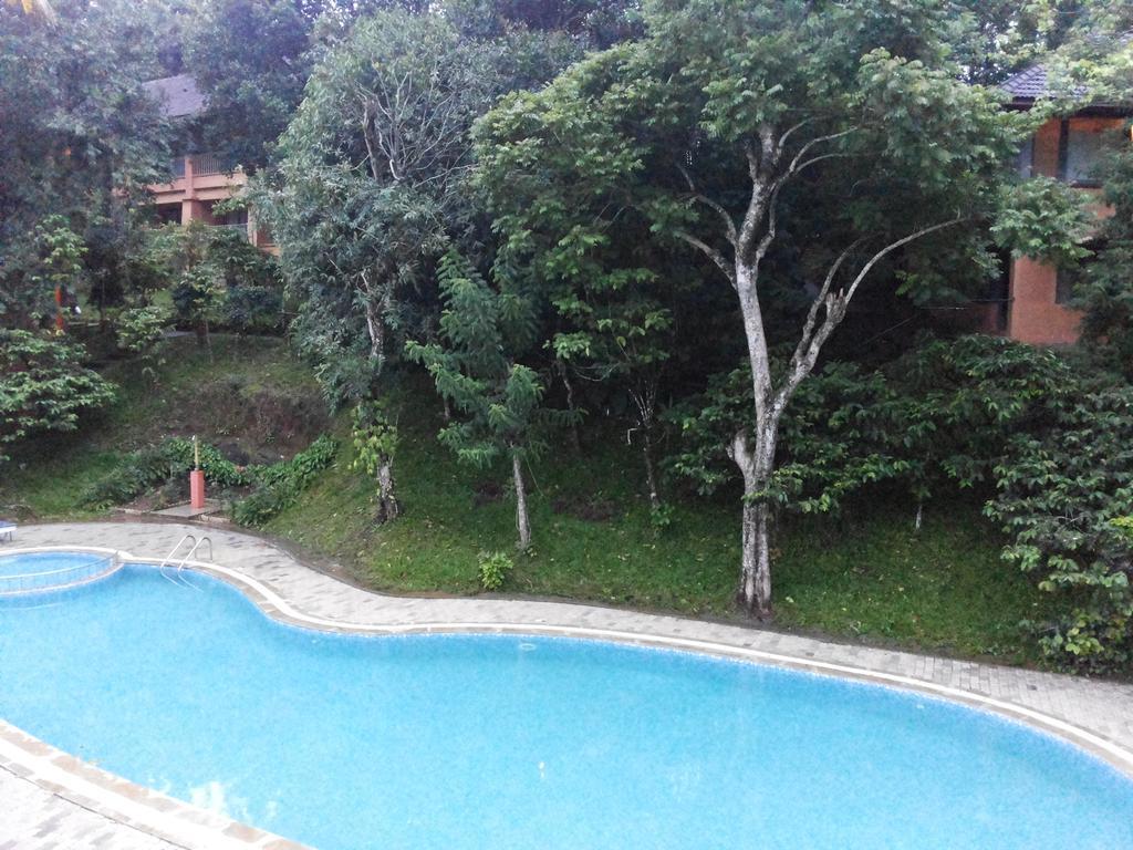 Hotel Abad Green Forest Thekkady Kumily Exterior foto